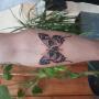 zutattoo-tatuaz-motyl-czaszka-mikrorealizm-fineline-na-przedramieniu-wroclaw
