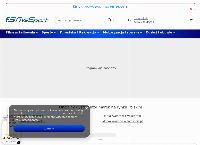 Strona internetowa z Fivesport