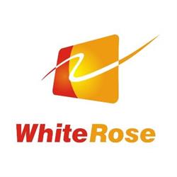 White Rose Jakubowska A.
