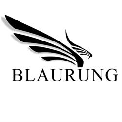 Blaurung Films