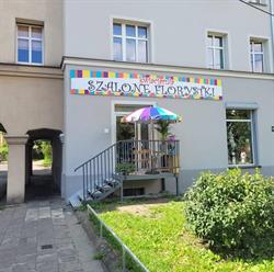 Kwiaciarnia Szalone Florystki