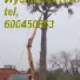 Dodane przez klienta firmy 16.02.2018 - Wycinka drzew