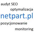 Audyt SEO, optymalizacja, pozycjonowanie, monitoring fraz kluczowych
