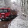 Transport drewna