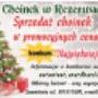 Dodane przez klienta firmy 31.03.2018 - Plantacja Choinek w Rezerwacie Bobra - banner w ofercie dla sprzedawców
