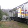 Dodane przez klienta firmy 31.03.2018 - Plantacja Choinek w Rezerwacie Bobra - wycinamy, pakujemy w siatkę i ładujemy na transport