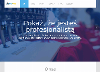 Strona internetowa z Logo-Typy.pl Haft Komputerowy i nadruki na odzieży Rybnik