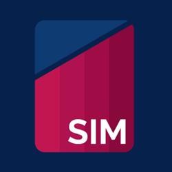 STOWARZYSZENIE INTERIM MANAGERS