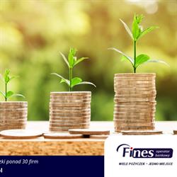 Fines