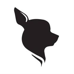 CHICHI DOG Pet Spa & Fashion Experts