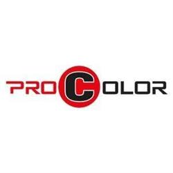 PRO COLOR S C ARKADIUSZ BEGER RAFAŁ BEGER