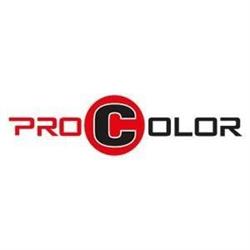 PRO COLOR S C ARKADIUSZ BEGER RAFAŁ BEGER
