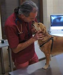 VITA I ANIMAL ZDZISŁAW RAK SPÓŁKA JAWNA