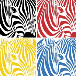 Biuro Podróży Zebra
