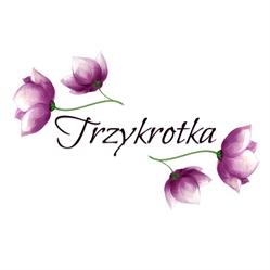 Pracownia florystyczna Trzykrotka, Kwiaciarnia