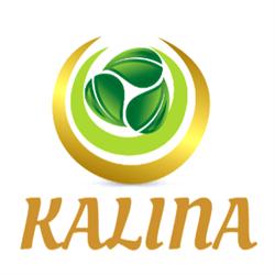 Kalina Firma Usługowa Kossakowska Kamila