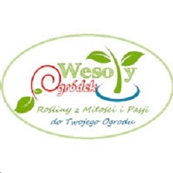 Wesoły Ogródek Marcin Surówka