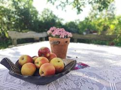Agroturystyka DOM PRACY TWÓRCZEJ