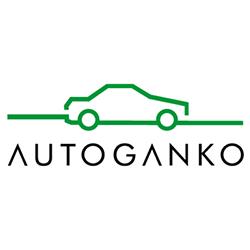 Auto Szyby i Myjnia ręczna Autoganko