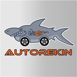 SKLEP MOTORYZACYJNY AUTOREKIN K I S DOBRYNIEWSCY S C