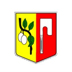 GMINA BIAŁOŚLIWIE