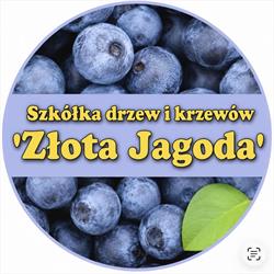 Szkółka "Złota Jagoda"