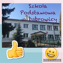 Szkoła Podstawowa w Dąbrowicy