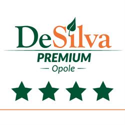 Hotel DeSilva Premium