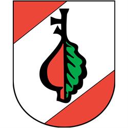 GMINA DUBICZE CERKIEWNE