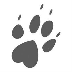 good dog - pielęgnacja i strzyżenie psów