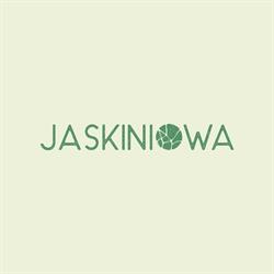 Jaskiniowa
