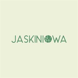 Jaskiniowa