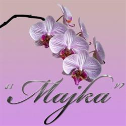 F.H.U. "MAJKA"