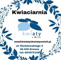 Kwiaty u Wioli