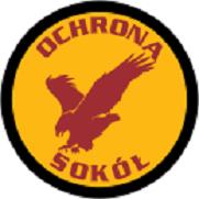 Sokół Agencja Ochrony Sp. z o.o.