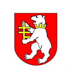 POWIAT RADZYŃSKI
