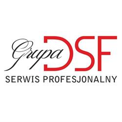 Grupa Dsf Serwis Profesjonalny Sp. z o.o. Sp.k.