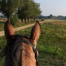 Gospodarstwo Agroturystyczne SIELANKA Mikołaj Adamczyk