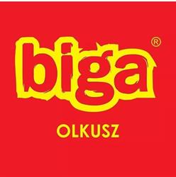 Biga