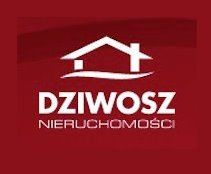 Dziwosz. Nieruchomości