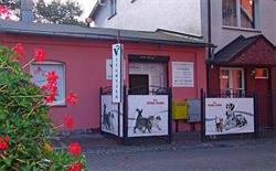 Tygrysek