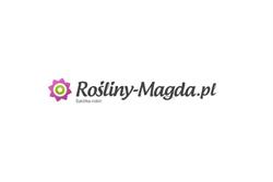 Szkółka Roślin "Magda" Lublin - Byliny, Trawy, Pnącza i Róże Ogrodowe