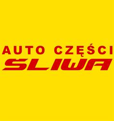 Auto Części Śliwa