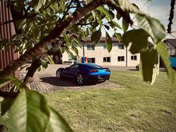 Shine Car Detailing