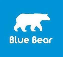 BlueBear Auto Detailing