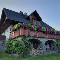 Ancymon. Apartamenty