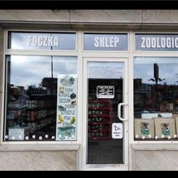 Foczka