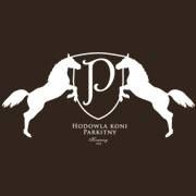 Konie Parkitny