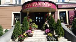 Kwiaciarnia Baccara
