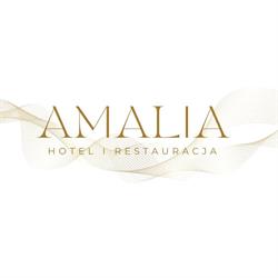 Hotel Amalia***